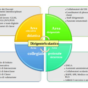 Organigramma